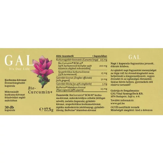 GAL - Biocurcumin+