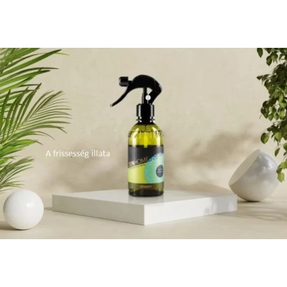 Zen Home - Térparfüm "Dream" 300ml